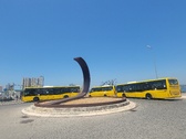 Enlarge photo 528