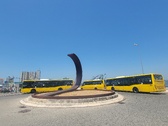 Enlarge photo 529