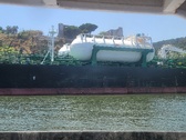 Enlarge photo 570