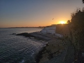 Enlarge photo 545