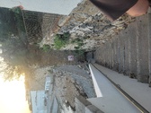 Enlarge photo 553