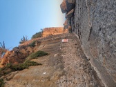 Enlarge photo 555