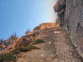 Enlarge photo 582