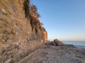 Enlarge photo 584