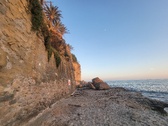 Enlarge photo 585