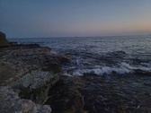 Enlarge photo 591