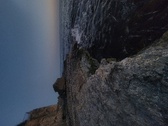 Enlarge photo 599