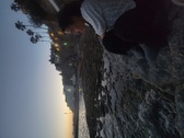 Enlarge photo 616