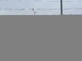 Enlarge photo 47