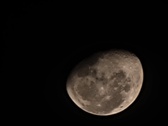 Enlarge photo 182