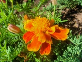 Enlarge photo 214