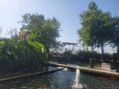 Enlarge photo 21