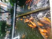 Enlarge photo 24