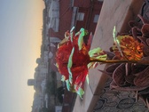 Enlarge photo 26