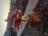 Enlarge photo 27