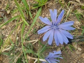 Enlarge photo 33