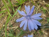 Enlarge photo 34