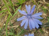 Enlarge photo 35