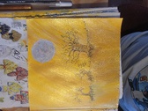 Enlarge photo 41