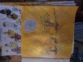 Enlarge photo 43