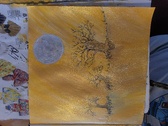 Enlarge photo 44