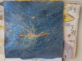 Enlarge photo 59