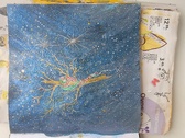 Enlarge photo 62