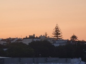 Enlarge photo 71