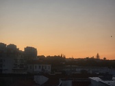 Enlarge photo 74