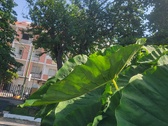 Enlarge photo 42