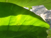 Enlarge photo 46