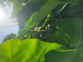 Enlarge photo 56