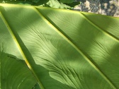 Enlarge photo 89