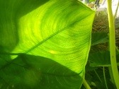 Enlarge photo 107