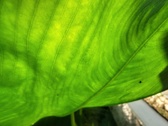 Enlarge photo 105