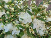 Enlarge photo 113