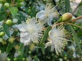 Enlarge photo 117