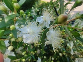 Enlarge photo 119