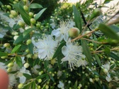 Enlarge photo 120