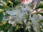 Enlarge photo 122