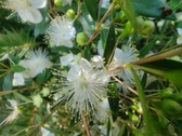 Enlarge photo 124