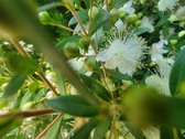 Enlarge photo 126