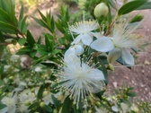 Enlarge photo 133