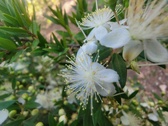 Enlarge photo 134