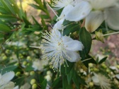 Enlarge photo 135