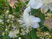 Enlarge photo 137