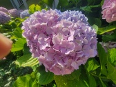 Enlarge photo 139