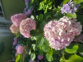 Enlarge photo 142