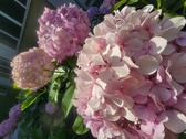 Enlarge photo 148
