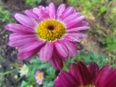 Enlarge photo 176